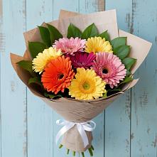 Букет цветов из:  Герберы в Владимиро-Александровском