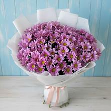 Букет цветов из:  Хризантемы в Владимиро-Александровском