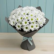 Букет цветов из:  Хризантемы #REPLACE_PRED# Владимиро-Александровском