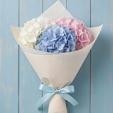 Букет цветов из:  Гортензия в Владимиро-Александровском