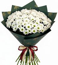 Букет цветов из:  Хризантемы в Владимиро-Александровском