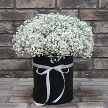 Цветочная композиция из Гипсофила в шляпной коробке #REPLACE_PRED# Владимиро-Александровском