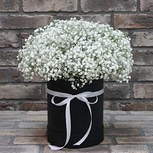 Цветочная композиция из Гипсофила в шляпной коробке в Владимиро-Александровском