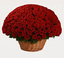 Премиум букет из: Розы в Владимиро-Александровском